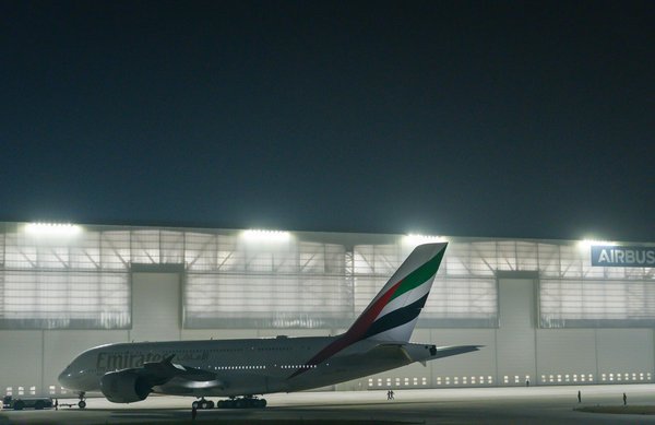 Quels sont les meilleurs spots pour observer les lions de mer en Patagonie, Argentine : conseils et périodes ?