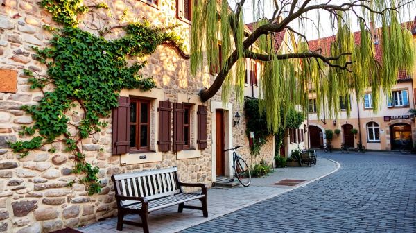 Vacances en famille : gîte 4 personnes à colmar à explorer !