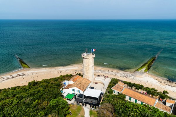 Quelle croisière propose des excursions pour observer les baleines grises en Californie?